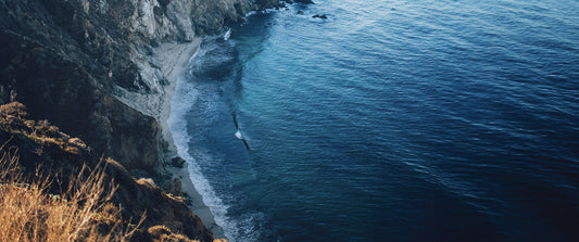 Celebrating Earth Day: Protecting Our Oceans, One Step at a Time
