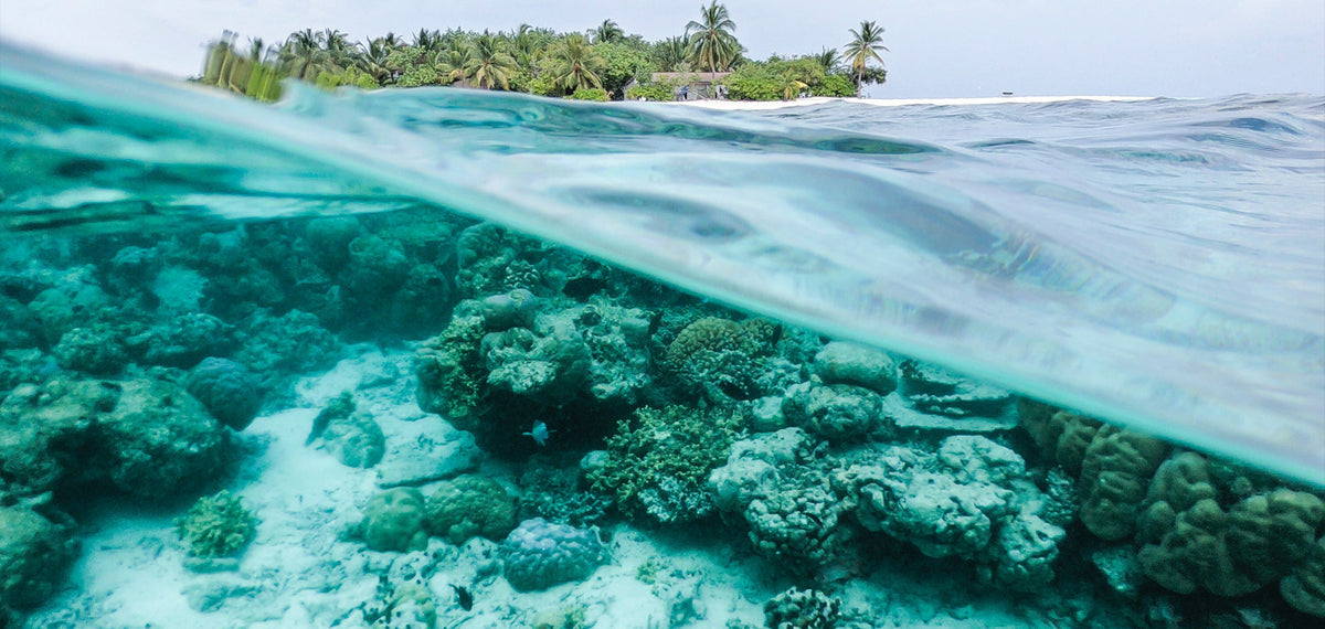 World Ocean Day — Action for the ocean