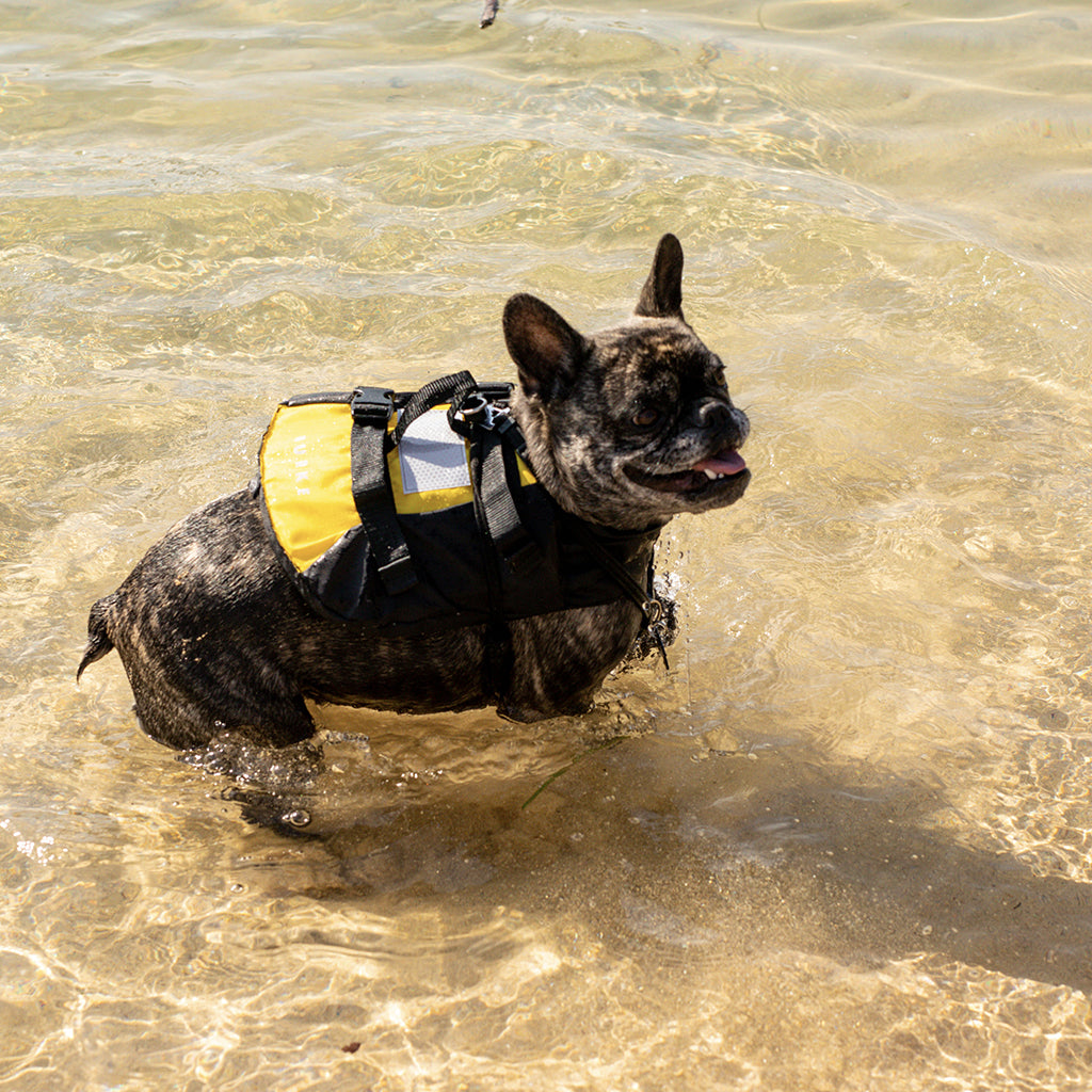 Pet PFD